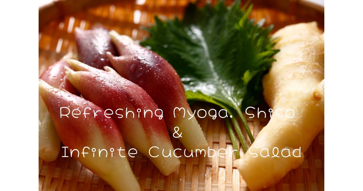 Refreshing Myoga, Shiso & Infinite Cucumber Salad